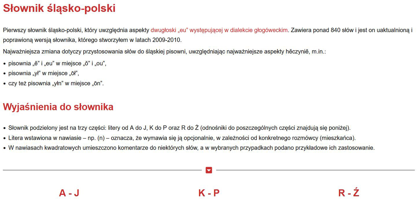 Zrzut ekranu opisu słownika