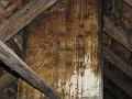 IMG_5257