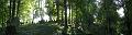 STA_2437_stitch