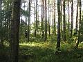 IMG_6280