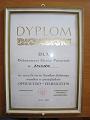 dyplom_1981