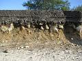 IMG_5768