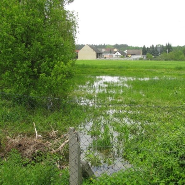 Podtopiona łąka obok zabudowań rodziny Kern na ul. Opolskiej