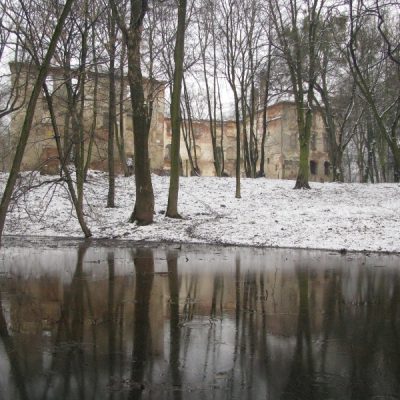 „Lustrzane odbicie” (styczeń 2011 r.)