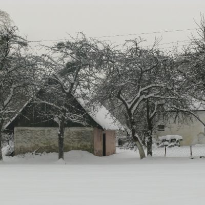 „Przydomowy spichlerz” (styczeń 2010 r.)