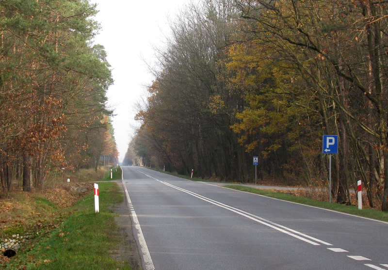Widoczna po prawej stronie Szpica w Smolarni, po lewej - wjazd na Drōga Niemodlinskeł. Widoczna na zdjęciu droga asfaltowa do Szoseja